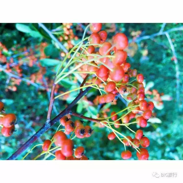 无锡一日游的攻略,无锡太湖一日游攻略周边美食