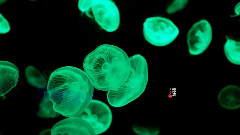 长隆亲子两大两小旅游攻略,珠海长隆横琴湾酒店亲子攻略