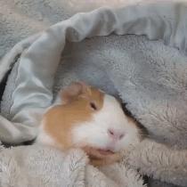 有这样的兄弟，迟早会被吓死的