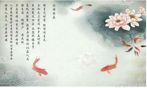 苏东坡诗水调歌头明月几时有,苏东坡的水调歌头叫什么名字