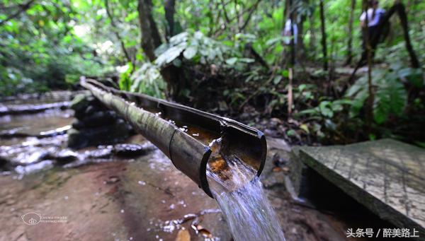 西双版纳在水一方泼水节,版纳哪里可以感受泼水