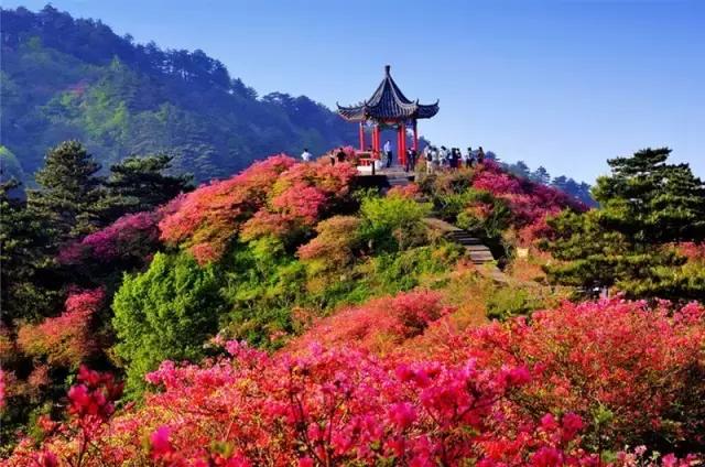 鹰潭有到喀什客运列车吗,鹰潭至喀什火车途经哪些站