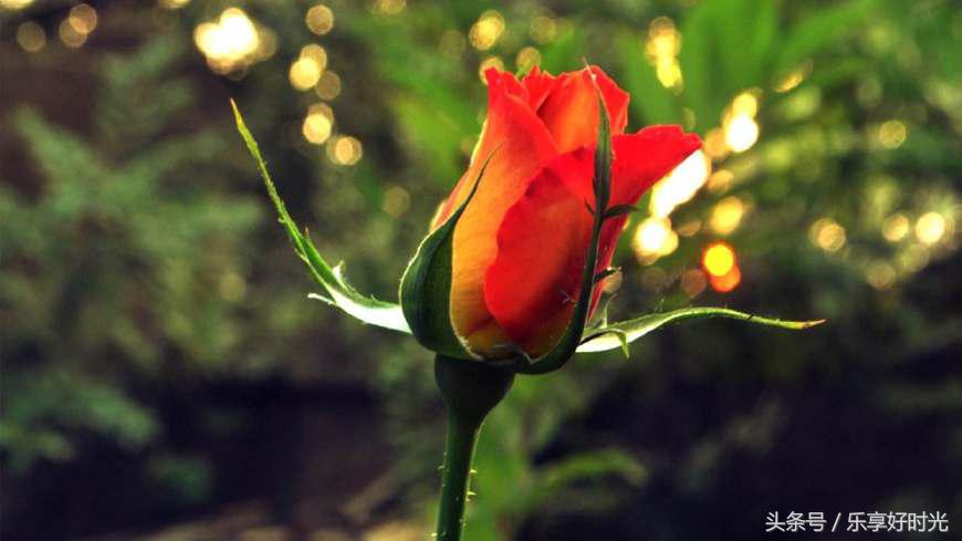 回想起曾经说过的话,回想起那些年啥滋味都有