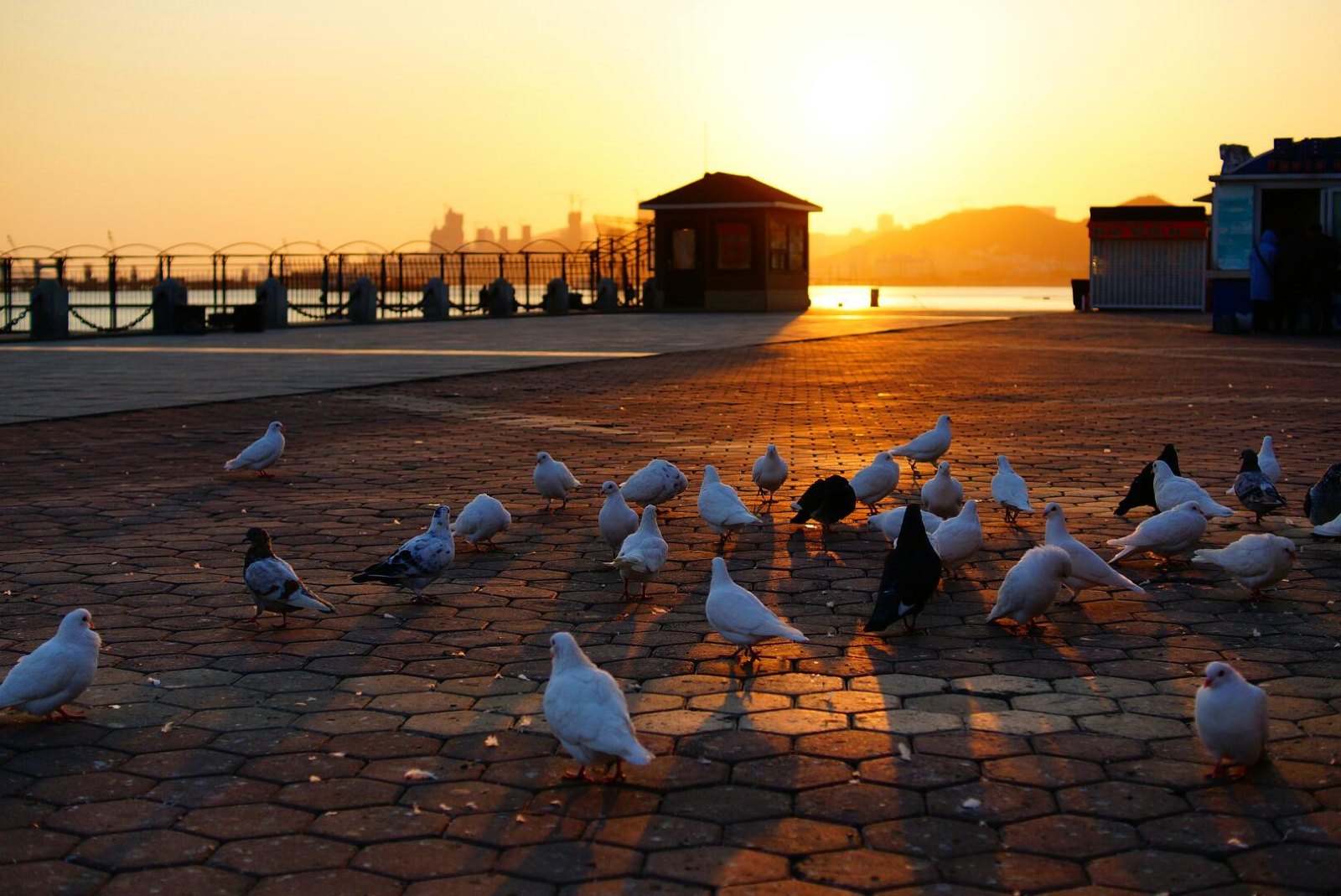 威海幸福指数,威海幸福指数的视频