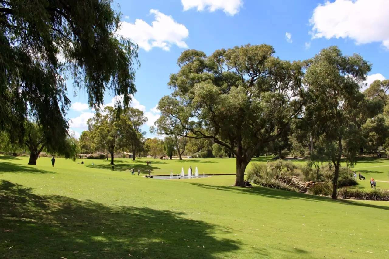 我一路向北离开有你的季节,我一路向北离开有你的季节什么梗