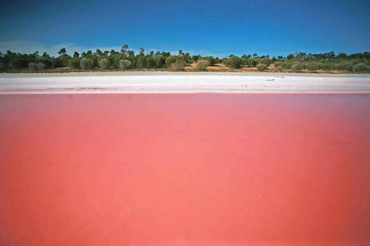 我一路向北离开有你的季节,我一路向北离开有你的季节什么梗