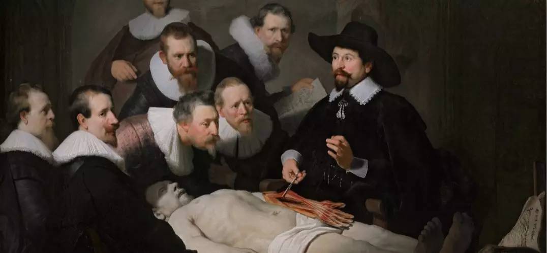 夜光虫赤潮,夜光虫发光原理