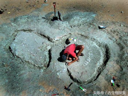 尼日尔龙:恐龙中的吸尘器