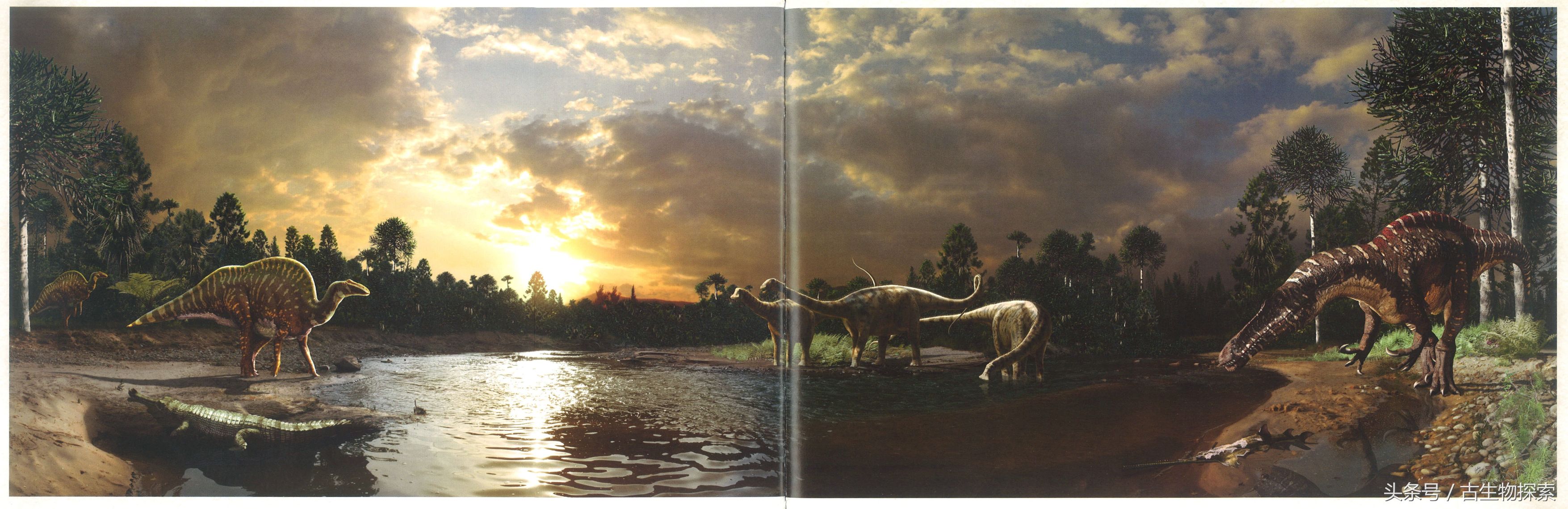 尼日尔龙:恐龙中的吸尘器