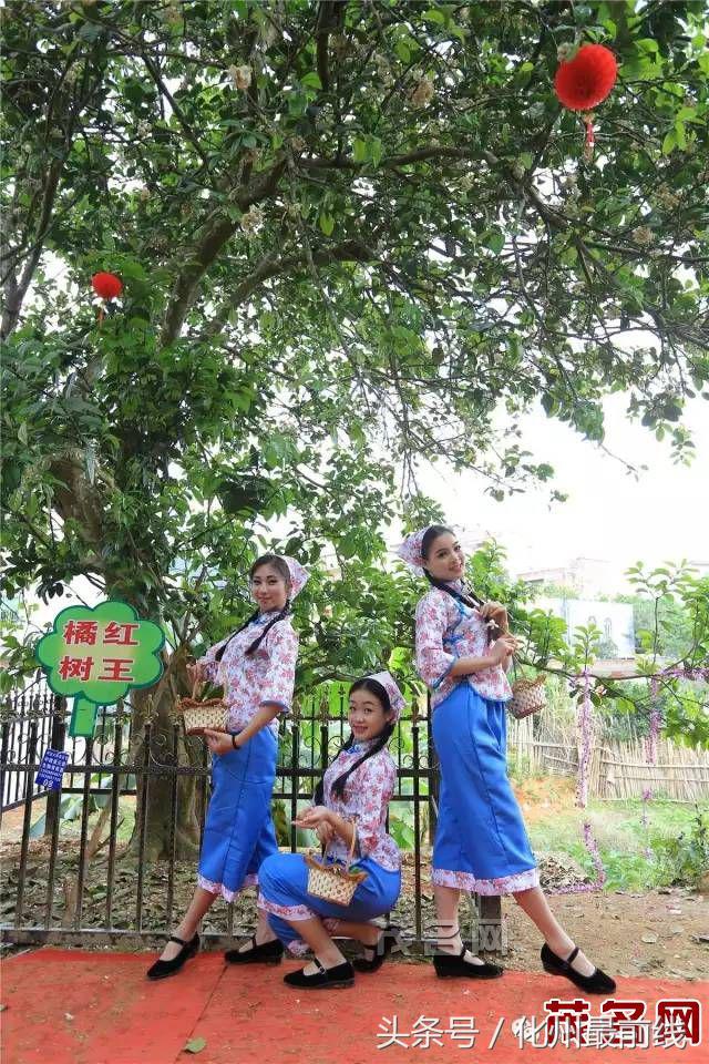 化州平定镇发展,化州市平定镇示范村