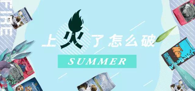 狗狗上火了怎么降火,狗狗上火了怎么办最快最有效