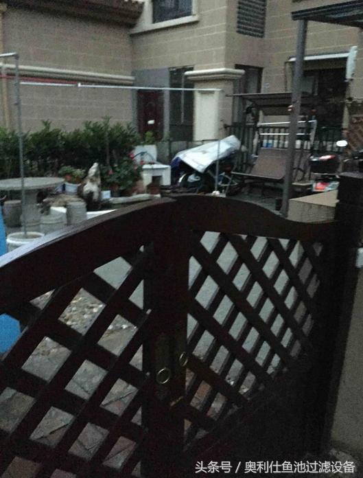 简单实用小庭院鱼池,庭院鱼池改造设计图片