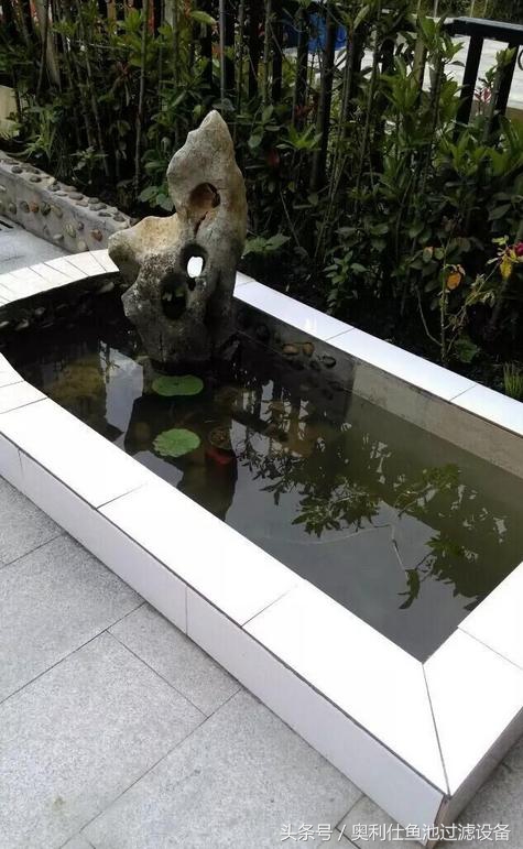 简单实用小庭院鱼池,庭院鱼池改造设计图片