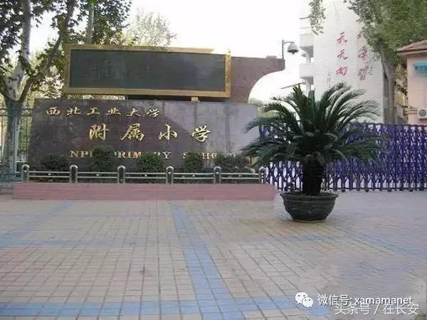 西安第一梯队的小学都有哪几所,西安学校排名前十名的小学校