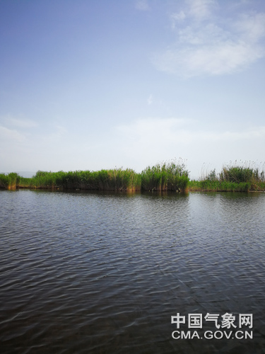 绿镜头生态摄影论坛,绿镜头走进乌兰察布