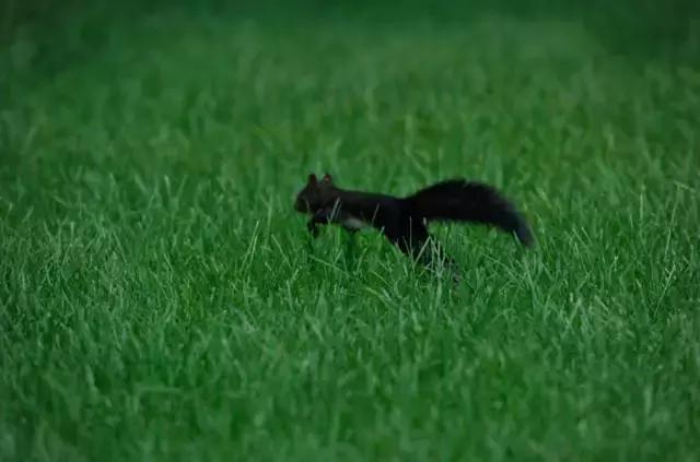 “辽宁高招指南”探秘绿岛,遇见你是我最美丽的意外!