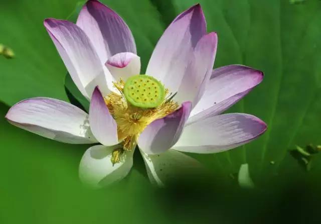 “辽宁高招指南”探秘绿岛,遇见你是我最美丽的意外!