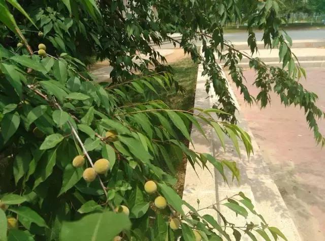 “辽宁高招指南”探秘绿岛,遇见你是我最美丽的意外!