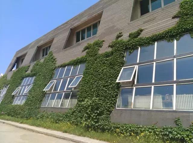 “辽宁高招指南”探秘绿岛,遇见你是我最美丽的意外!