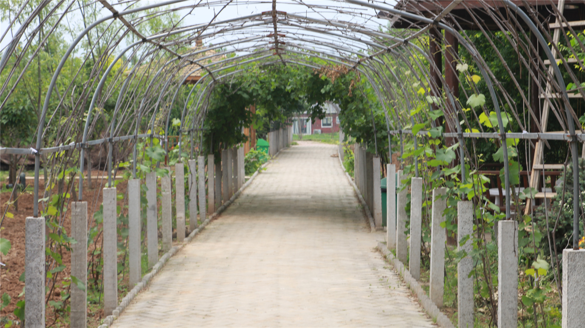 西安南山避暑胜地一日游,西安夏天避暑度假的好去处