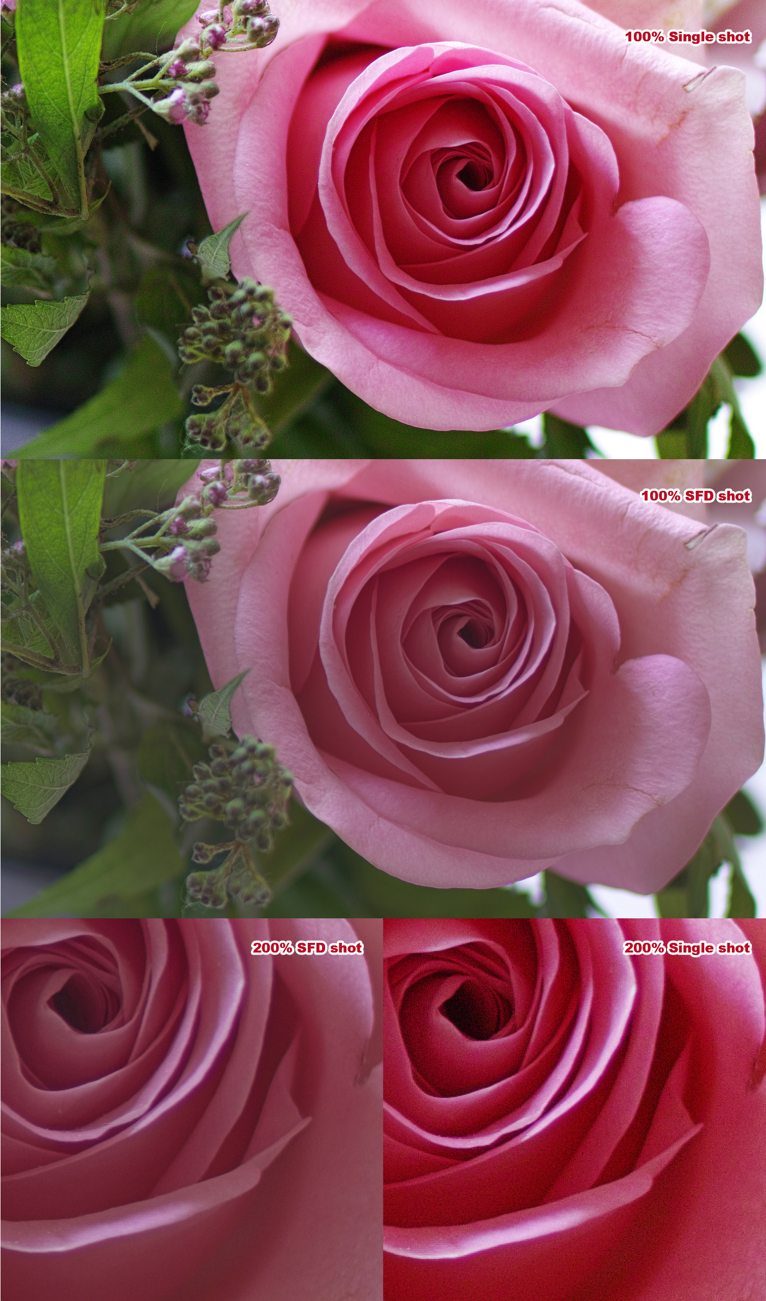 适马sdq与sdqh参数区别,适马sdqh画质怎么样