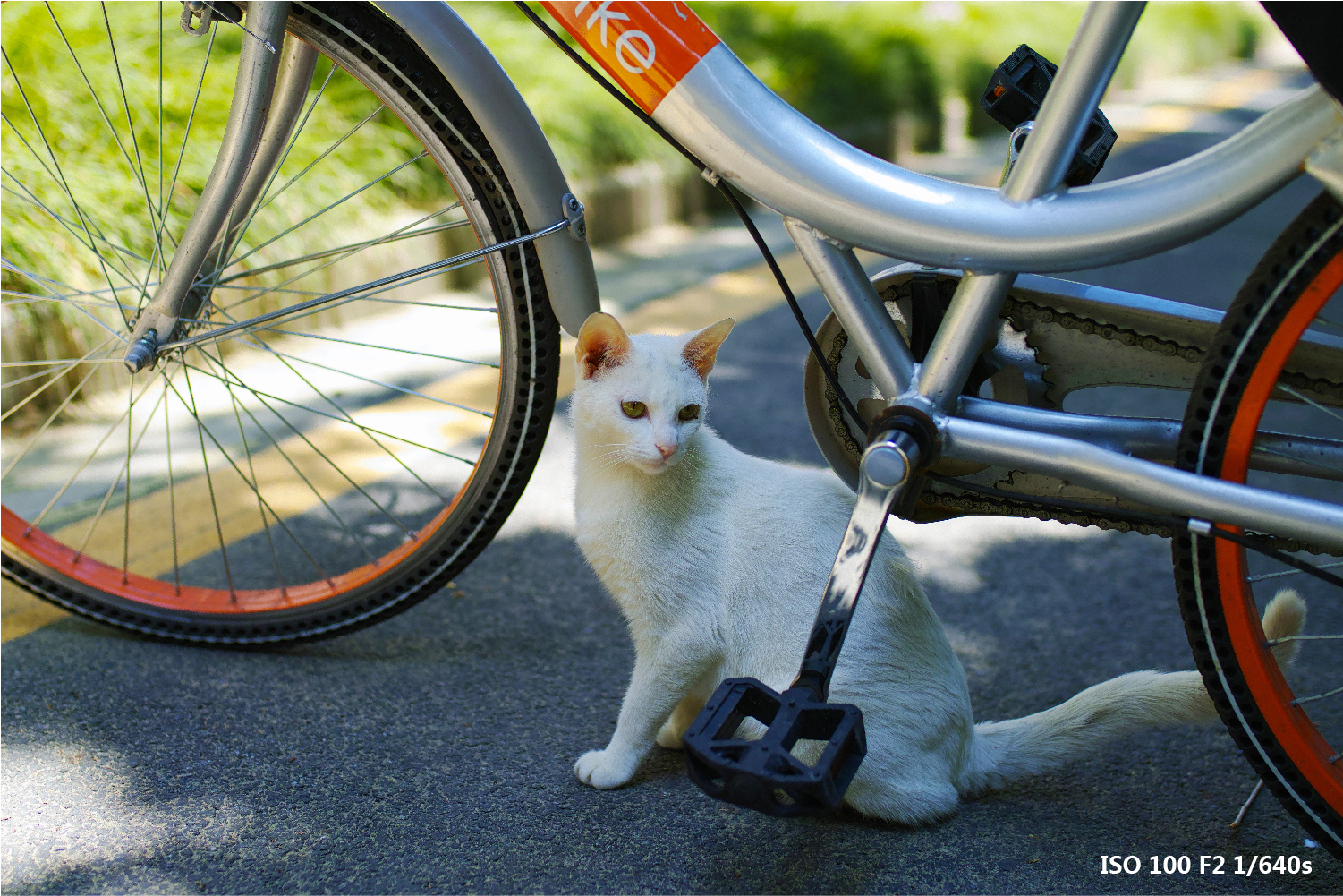 适马sdq与sdqh参数区别,适马sdqh画质怎么样