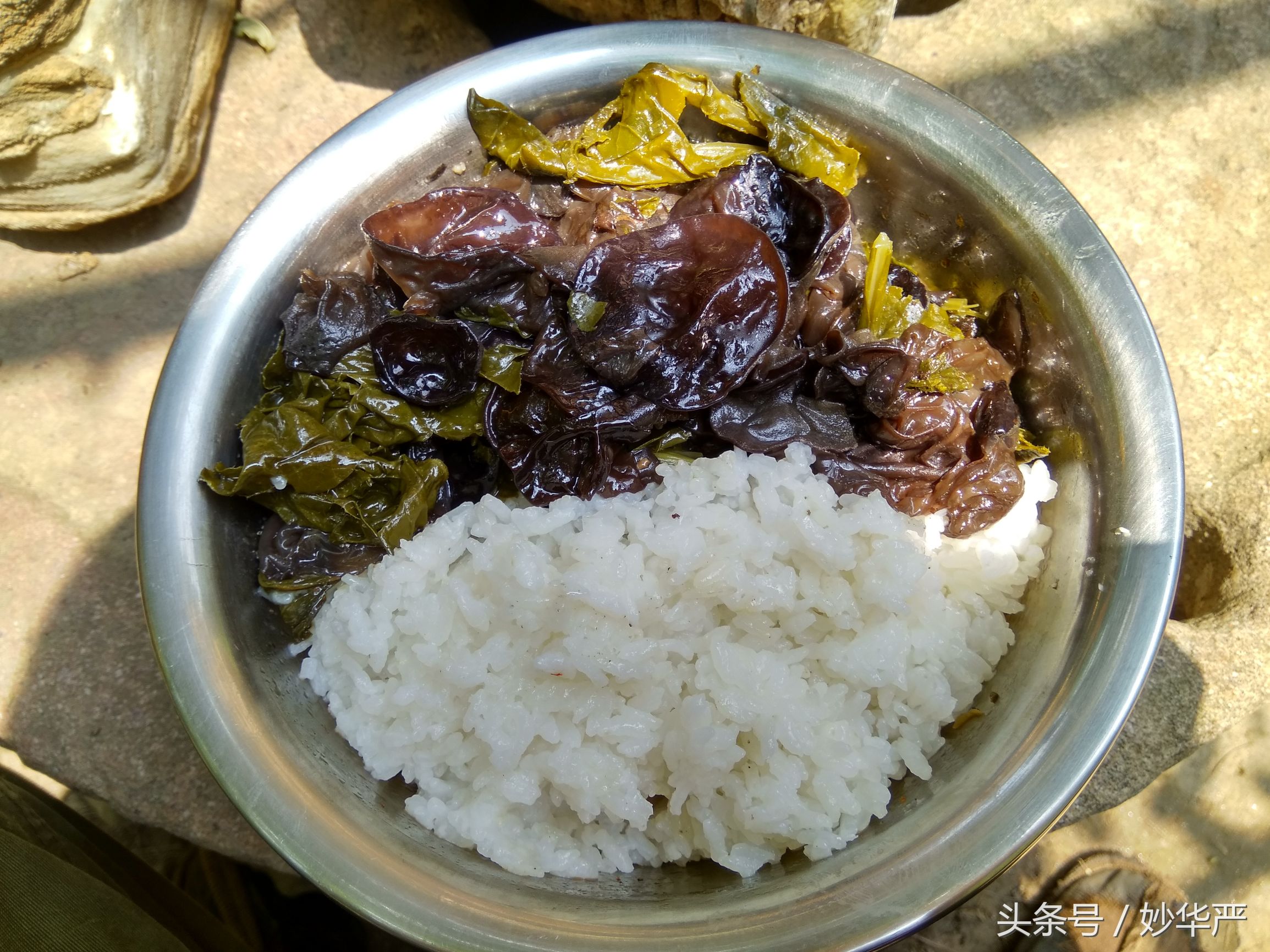 动物和植物都是生命，那么修佛之人吃素是不是也是罪过啊？真心求教！还有这个世界到底有没有永恒的事物呢？