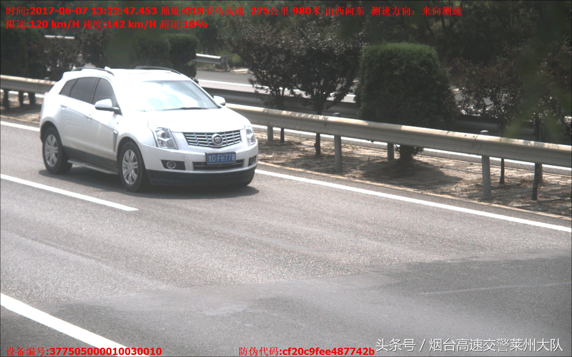 伪造变造号牌怎么处罚,使用伪造变造号牌罚多少钱