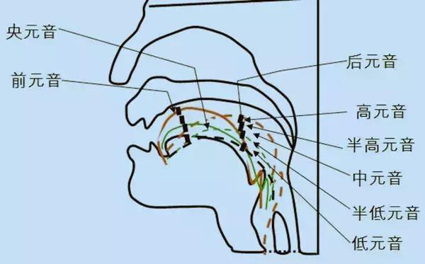 学习英语音标和单词,学习英语音标有什么用