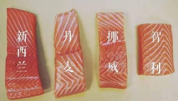 人类无法合成的东西,人类不能自身合成的是什么物质