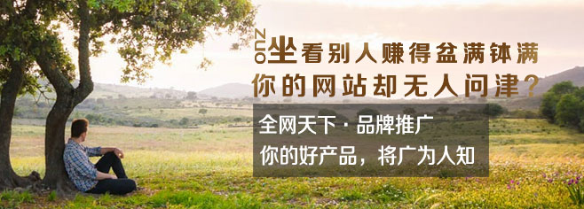 专业全网营销技巧,如何做全网营销