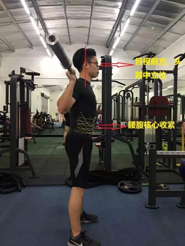 深蹲好处多如何做标准深蹲,深蹲有什么锻炼效果好的动作