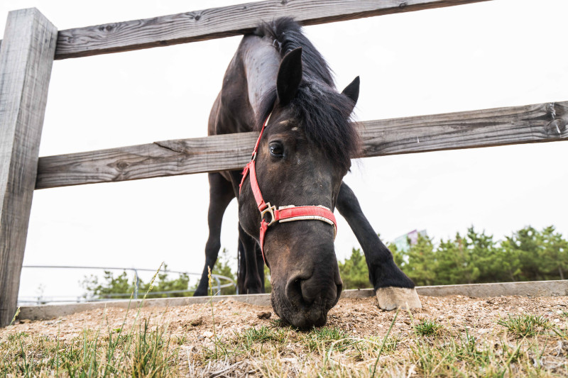 蓬莱温泉旅游度假村,蓬莱适合度假的小镇