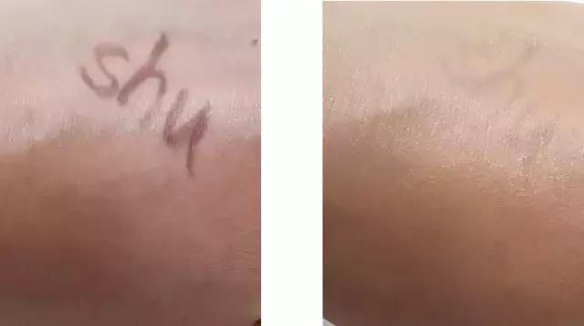 欢乐颂蘑菇气垫,刘涛同款神仙养肤气垫