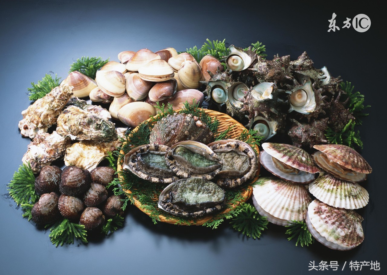 广东特色美食生蚝,蚝门特色生蚝