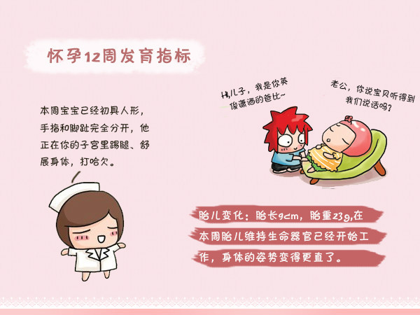 怀孕初期一到三个月要注意什么,怀孕早期三个月要注意什么