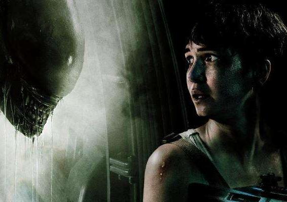 为什么异形接不上契约,看完异形契约却没看懂