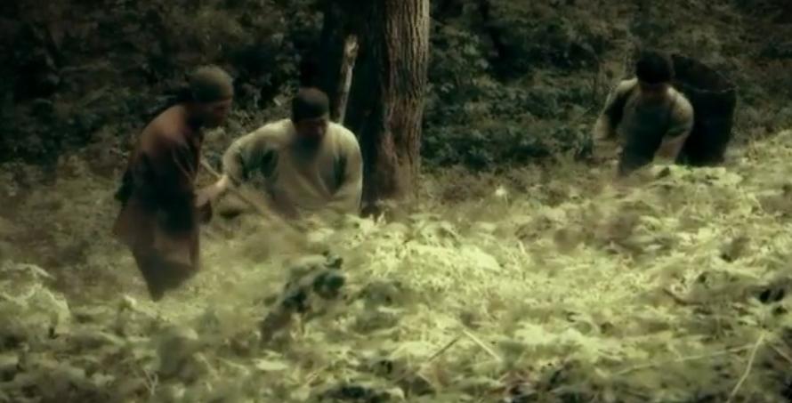 闯关东买人参后续,闯关东人参是真的还是假的