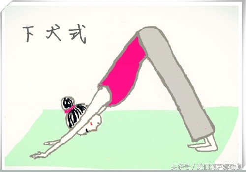 瑜伽老师练下犬式,瑜伽课时为什么每次都练下犬式