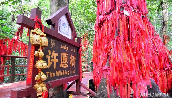 西双版纳在水一方泼水节,版纳哪里可以感受泼水