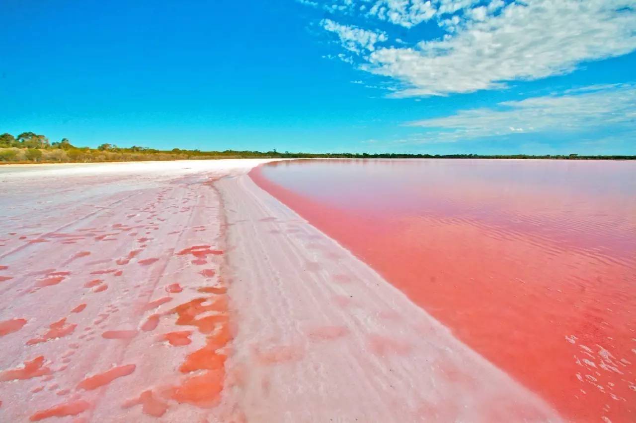 我一路向北离开有你的季节,我一路向北离开有你的季节什么梗