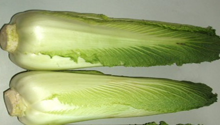 唐山特产蜂蜜麻糖,唐山特产送人一览表