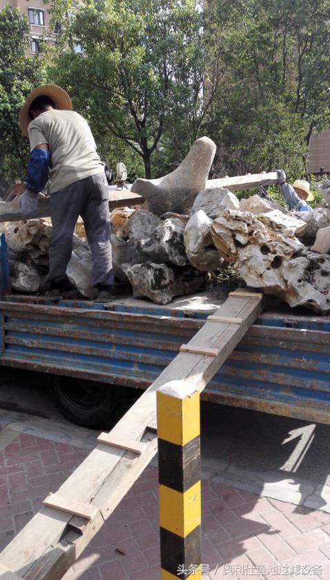 简单实用小庭院鱼池,庭院鱼池改造设计图片