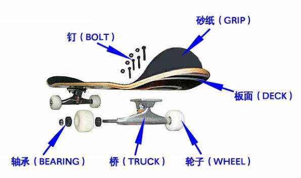 板痴滑板怎么样,滑板入门怎么选板