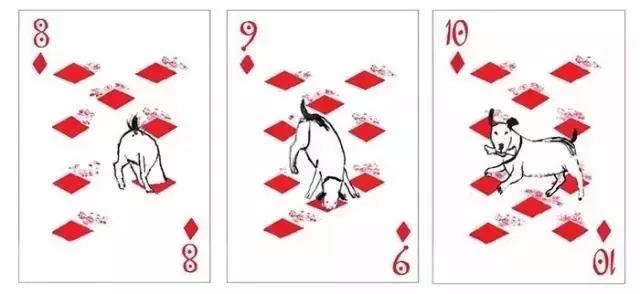 jqk扑克牌,好看的狗狗扑克牌