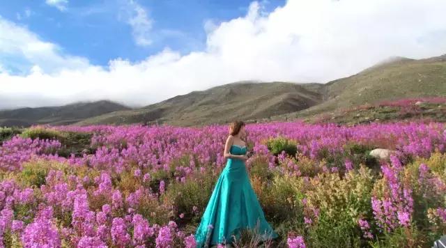 川西最美草原,川西绝美小众秘境草地