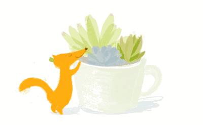 关于八种植物招财又旺宅,十大镇宅风水植物