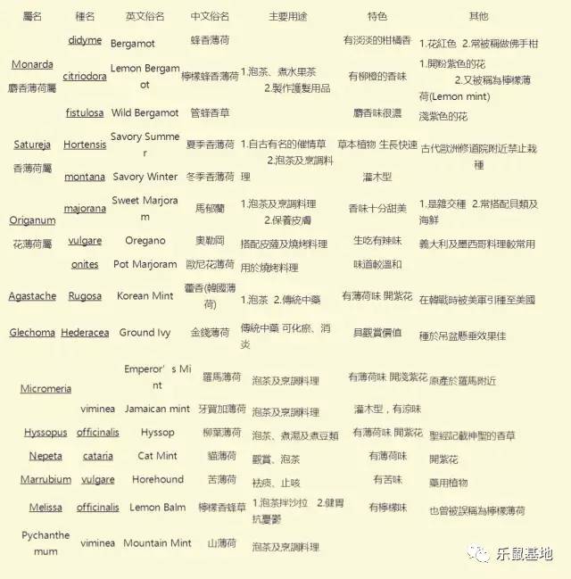 “薄荷香中醉欲颠”,有了薄荷的陪伴让,你清清爽爽度夏天