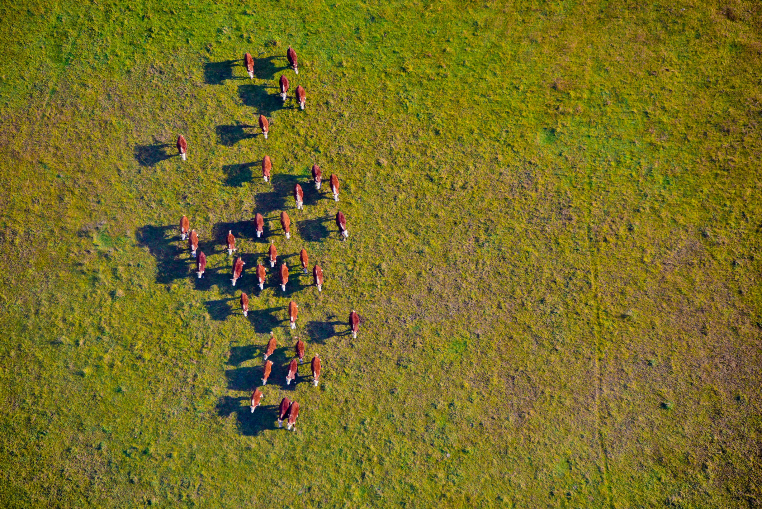 在猎人谷邂逅美酒和热气球
