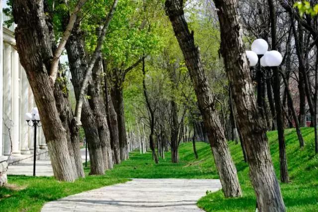 “辽宁高招指南”探秘绿岛,遇见你是我最美丽的意外!